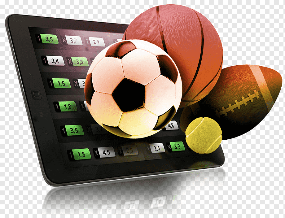 Discover the Best Online Gambling Sites With Multiple Game Providers 31 Discover the Best Online Gambling Sites With Multiple Game Providers 31
